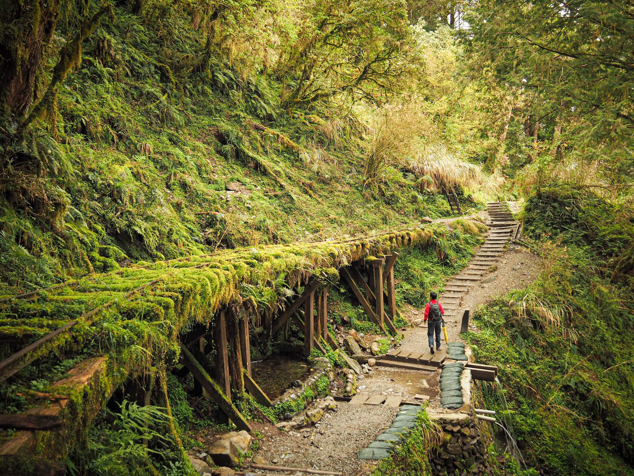 다양한 하이킹 트레일 (하이킹/트레킹 코스)